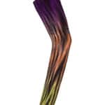 Floky NO STRAIN Fantasy Sleeve Delhi - 1pcs